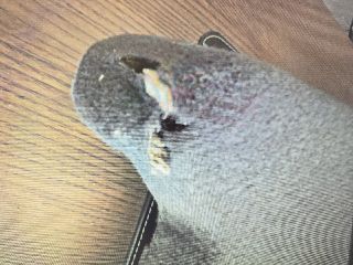 bontott OPEL CORSA C Kalaptartó