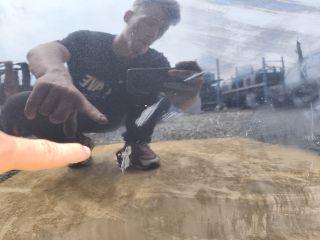 bontott OPEL CORSA F Bal első Ajtó (Üres lemez)