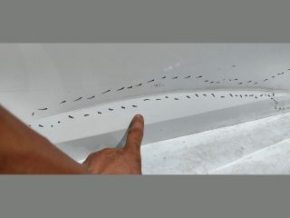 bontott OPEL CORSA F Jobb első Ajtó (Üres lemez)