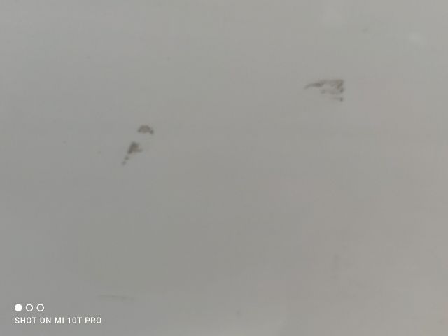 bontott OPEL CROSSLAND X Bal hátsó Ajtó (Részeivel)