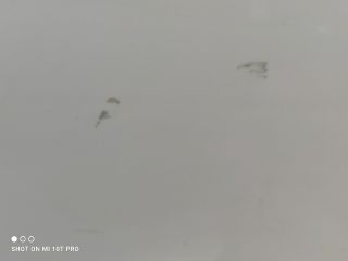 bontott OPEL CROSSLAND X Bal hátsó Ajtó (Részeivel)