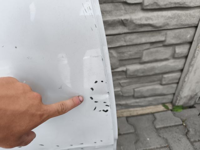 bontott OPEL GRANDLAND X Jobb hátsó Ajtó (Üres lemez)