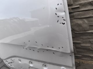 bontott OPEL GRANDLAND X Jobb hátsó Ajtó (Üres lemez)