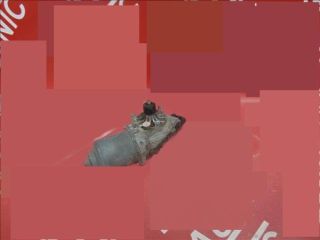 bontott OPEL INSIGNIA Első Ablaktörlő Motor