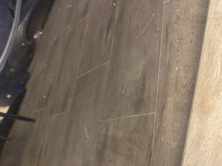 bontott OPEL INSIGNIA Jobb első Ajtó (Üres lemez)