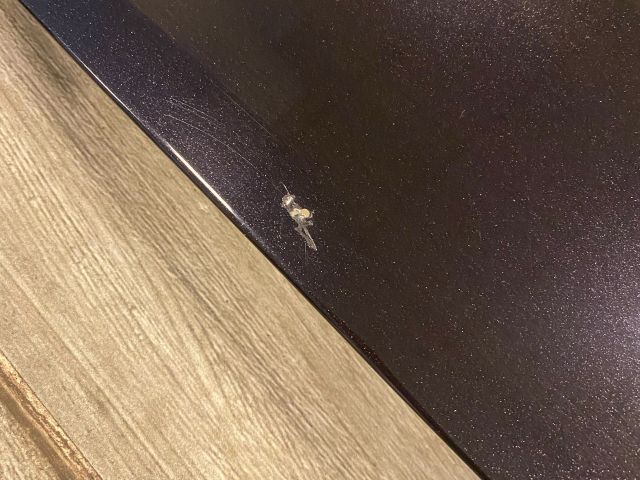 bontott OPEL MERIVA A Motorháztető