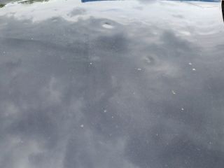 bontott OPEL TIGRA Motorháztető