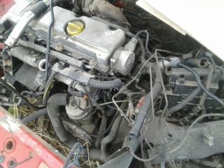 bontott OPEL VECTRA B Jobb hátsó Ajtó (Üres lemez)