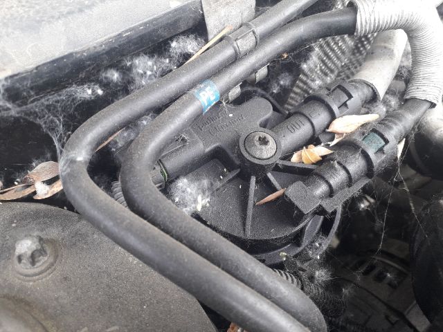 bontott OPEL VECTRA C Motor (Fűzött blokk hengerfejjel)