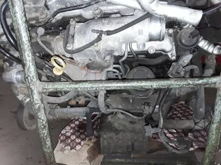 bontott OPEL VECTRA C Motor (Fűzött blokk hengerfejjel)