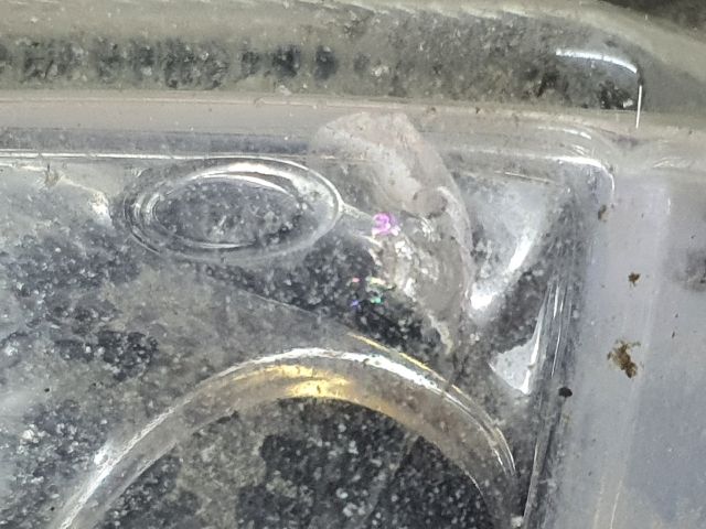 bontott OPEL VECTRA C Bal Ködfényszóró