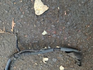 bontott OPEL VECTRA C Izzító/Gyújtó Gyertya Kábel