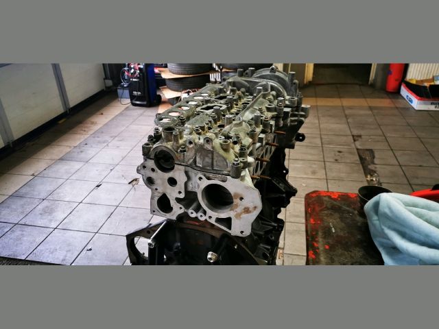 bontott OPEL VIVARO Motor (Fűzött blokk hengerfejjel)