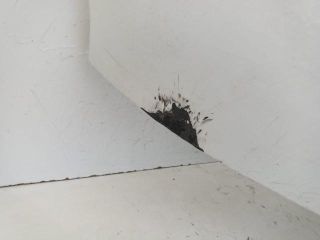 bontott OPEL VIVARO Első Lökhárító (Üresen)