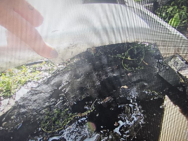 bontott PEUGEOT 107 Első Lökhárító (Üresen)