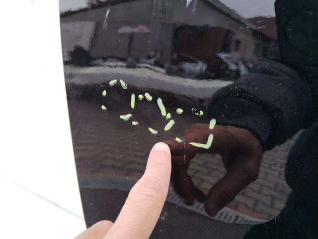 bontott PEUGEOT 2008 II Bal első Ajtó (Üres lemez)