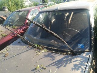 bontott PEUGEOT 205 Első Szélvédő