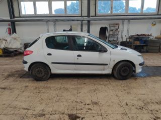 bontott PEUGEOT 206 Porlasztó (1 db)