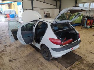 bontott PEUGEOT 206 Porlasztó (1 db)