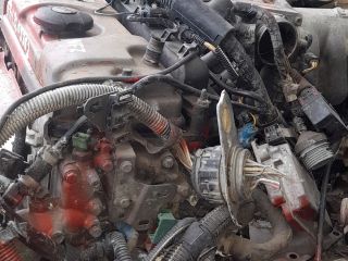 bontott PEUGEOT 206 Motor (Fűzött blokk hengerfejjel)