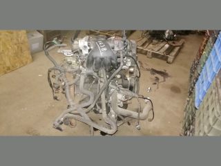 bontott PEUGEOT 206 Motor (Fűzött blokk hengerfejjel)