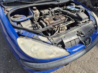 bontott PEUGEOT 206 Bal első Ajtó (Részeivel)