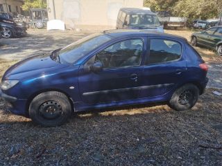 bontott PEUGEOT 206 Bal első Ajtó (Részeivel)