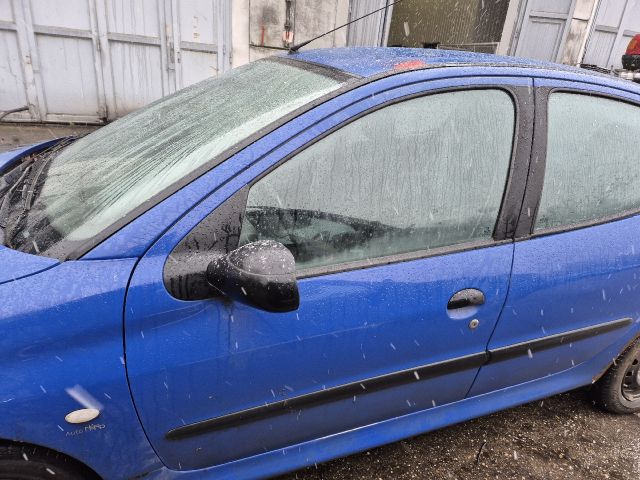 bontott PEUGEOT 206 Bal hátsó Ajtó (Részeivel)