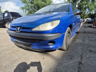 bontott PEUGEOT 206 Bal hátsó Ajtó (Részeivel)