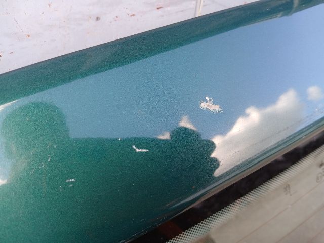 bontott PEUGEOT 206 Csomagtérajtó (Részeivel)