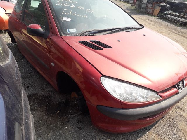 bontott PEUGEOT 206 Jobb első Ajtó (Üres lemez)