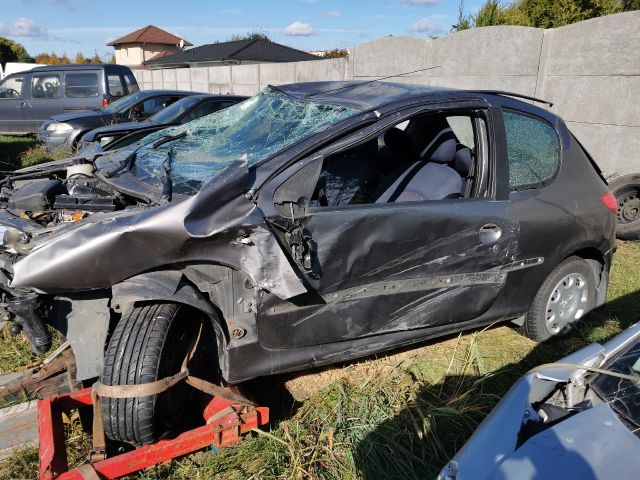 bontott PEUGEOT 206 Középső Kipufogó Dob Hővédő Lemez