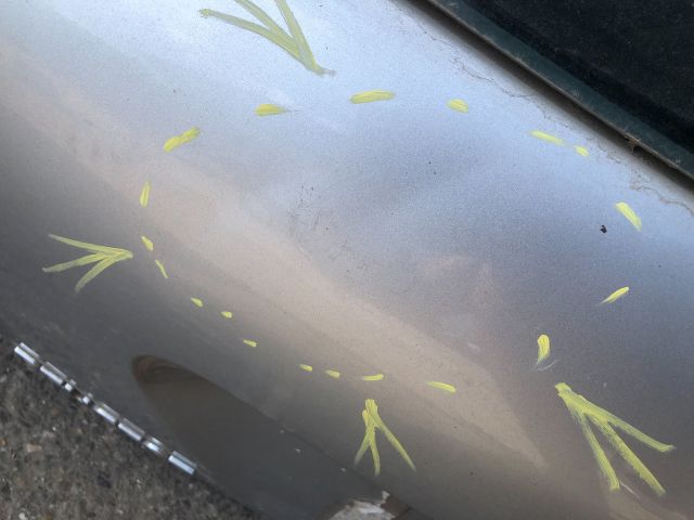 bontott PEUGEOT 207 Csomagtérajtó (Részeivel)