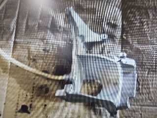 bontott PEUGEOT 3008 Gázolajszűrő Ház