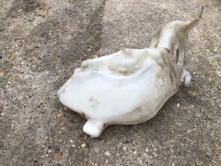 bontott PEUGEOT 307 Ablakmosó Tartály