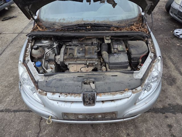 bontott PEUGEOT 307 Bal hátsó Ajtó (Részeivel)