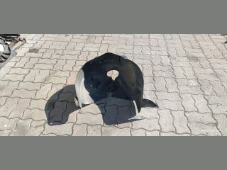 bontott PEUGEOT 307 Bal hátsó Dobbetét (Kerékjárati, Műanyag)