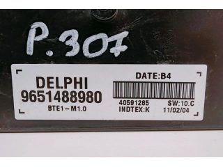 bontott PEUGEOT 307 Elektronika (Magában)