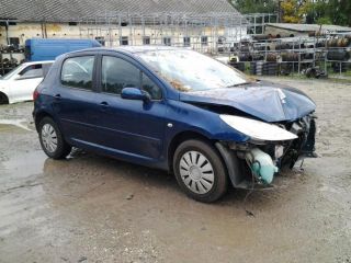 bontott PEUGEOT 307 Jobb első Ajtó (Üres lemez)