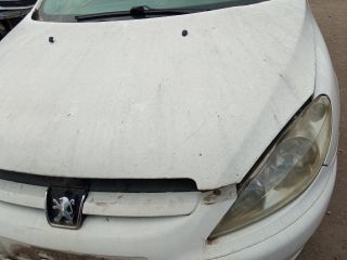 bontott PEUGEOT 307 Kipufogó Közösítő