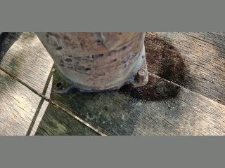 bontott PEUGEOT 307 Részecskeszűrő