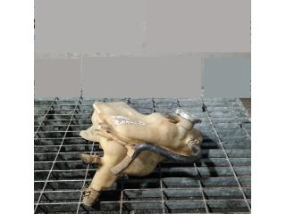 bontott PEUGEOT 4007 Kiegyenlítő Tartály