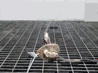 bontott PEUGEOT 4007 Üzemanyagszint Jeladó