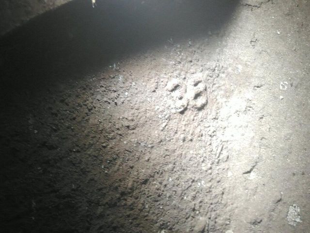 bontott PEUGEOT 4007 Alufelni Szett