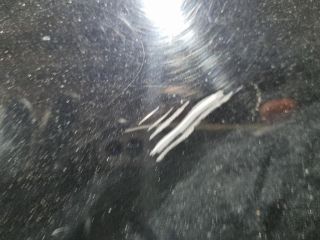 bontott PEUGEOT 4007 Bal első Sárvédő