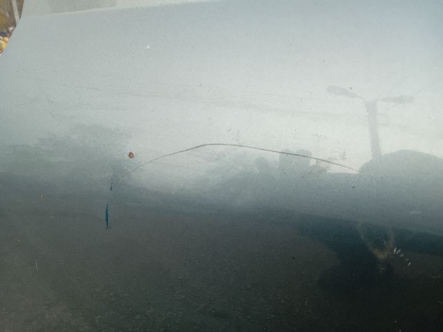 bontott PEUGEOT 406 Bal hátsó Ajtó (Részeivel)