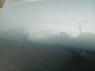 bontott PEUGEOT 406 Bal hátsó Ajtó (Részeivel)