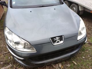 bontott PEUGEOT 407 Légtömegmérő