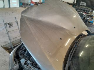 bontott PEUGEOT 407 Csomagtérajtó (Üres lemez)