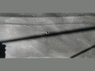 bontott PEUGEOT 407 Motorháztető